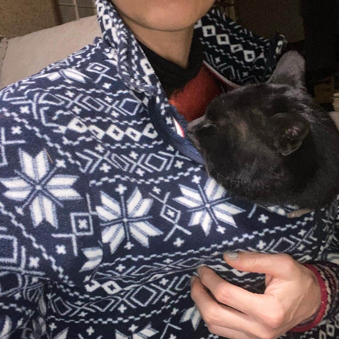内澤旬子さんのインスタグラム写真 - (内澤旬子Instagram)「ふざけて服の中に入れたら出たがる気配もなくそのまま寝てしまった。#野良なのに#野良クロにゃっち」2月22日 21時22分 - riprigandpanic