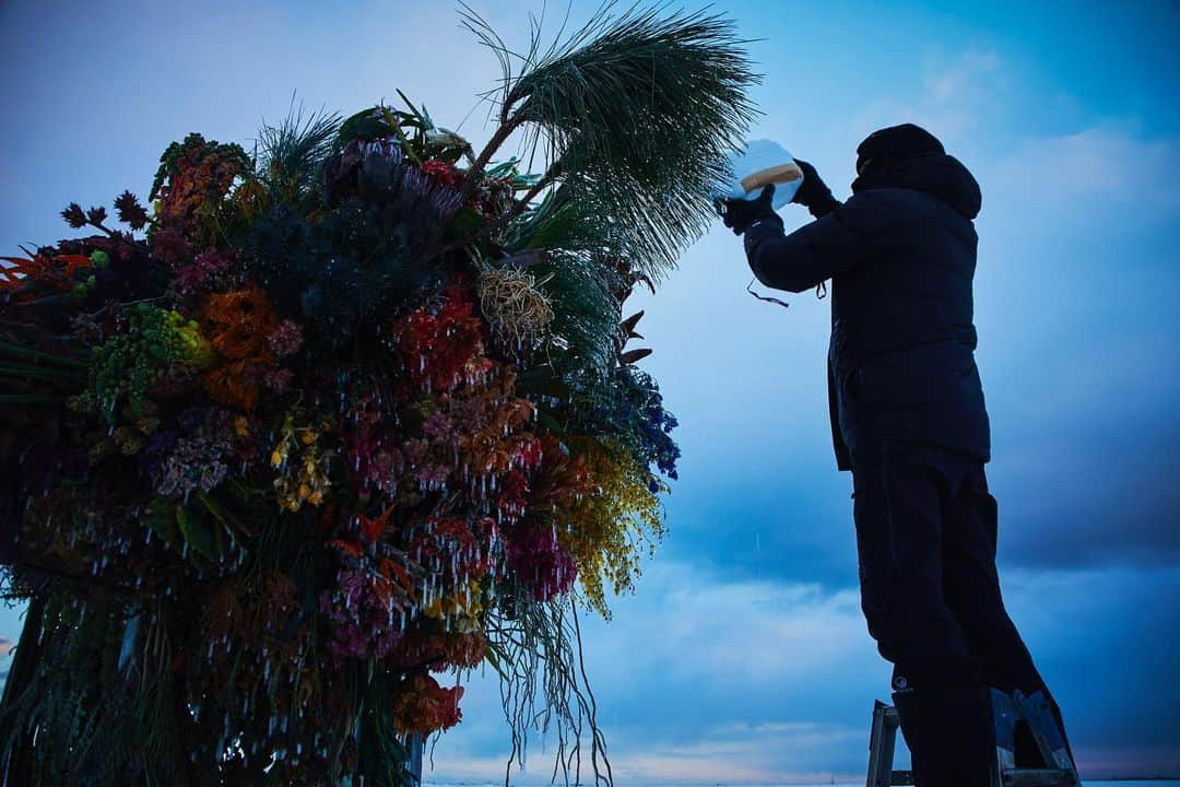 椎木俊介のインスタグラム：「Frozen Flowers (2021)  #azumamakoto #makotoazuma #shiinokishunsuke #amkk #amkkproject #botanicalsculpture #todowara #hokkaido #theendoftheworld #東信 #東信花樹研究所 #トドワラ #野付半島」