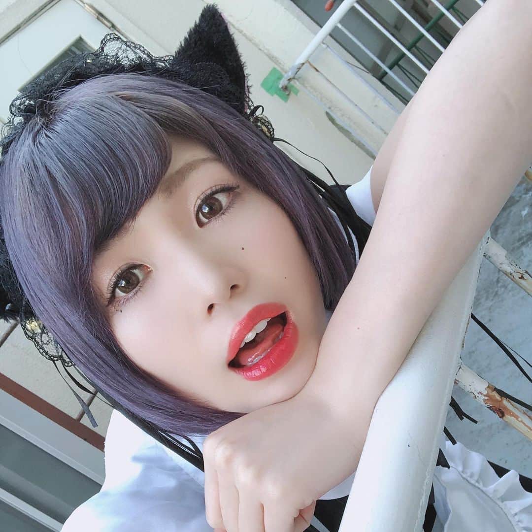 胡桃沢まひるのインスタグラム：「. . とってもわがままですがエサを与えるととてもニコニコします🐈. 活発なので遊んでくれるまで寝ているご主人様を起こしにきます🐈 慣れるとくっついて寝ようとします🐈 . . 結論 飼いやがれください😽 . . #猫の日 #にゃん #かいぬしぼしゅうちゅう #まひるが猫だったらしそうなこと #他にあるかな  #cat #maidcosplay #maid #cosplay #cosplaygirl #japanesegirl」