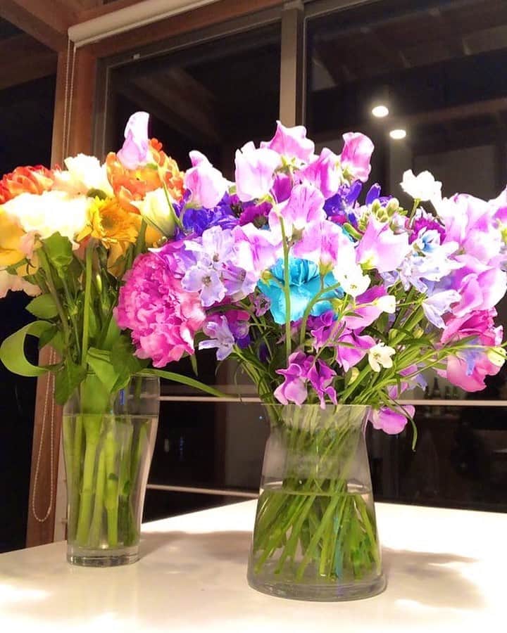 中山千桂子さんのインスタグラム写真 - (中山千桂子Instagram)「. 夜の花達✨ . 綺麗な花があると撮影したくなるねー‼️ 朝の爽やかさとは違って幻想的な雰囲気に📸✨ . #暮らしに花を #花好きな人と繋がりたい #カメラ女子  #花を飾る #色とりどりの花 #上手く写真撮れるようになりたい」2月22日 21時48分 - nakayama_chikako