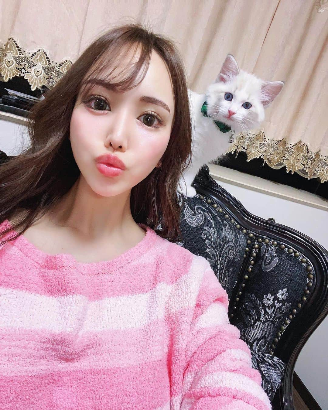 桜ゆみさんのインスタグラム写真 - (桜ゆみInstagram)「. 猫の日です🙈💓 .  @ange20201205  . #ねこの日 #猫の日 #worldcatday  #ラグドール #ラグドール子猫 #ラグドール子猫2ヶ月 #ラグドールブリーダー #ラグドール猫 #ラグドールの仔猫  #ブルーリンクスバイカラー」2月22日 22時02分 - yumi.sakura1111