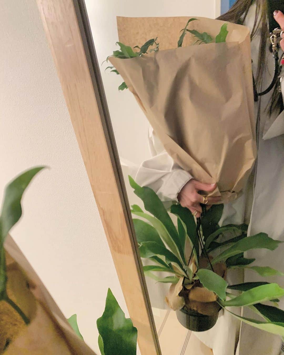 佐藤里緒菜のインスタグラム：「_ 家から1番近いお花屋さんが 親切でリーズナブルで最高です🤝」