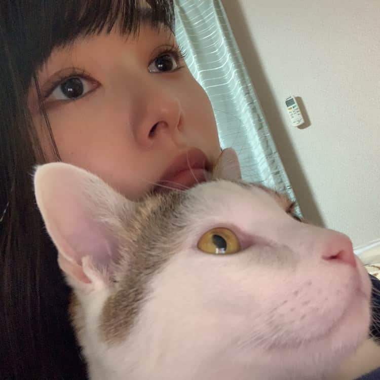 桜井日奈子さんのインスタグラム写真 - (桜井日奈子Instagram)「今日は猫の日🐈  ということで、お気に入りの一枚を🤳  #猫の日」2月22日 22時11分 - sakurai.hinako_official