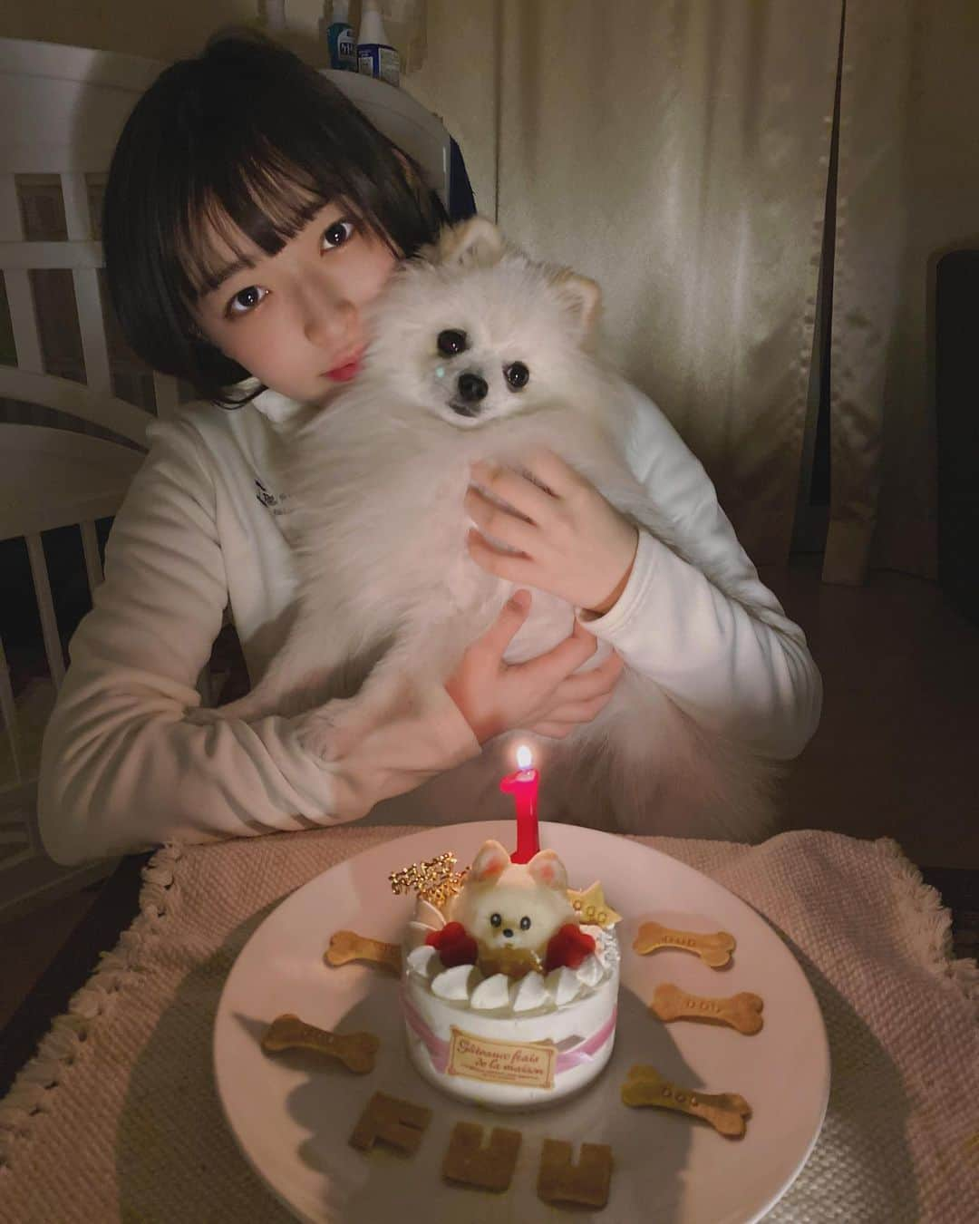 黒江心温さんのインスタグラム写真 - (黒江心温Instagram)「・ ・ 実はふうちゃんお誕生日でした🎉 おめでとう🐶❤️ ・ ほんとは2月15日が誕生日なんだけど、こはるが東京でお祝いできなかったからこの前したの💭 ・ 1歳になったふうちゃん‎(ᐡ o̴̶̷̤ ﻌ o̴̶̷̤ ᐡ) いつも癒しを与えてくれてありがとう🥺 毎日可愛い❕大好き❕って言ってるけど、ほんとに可愛くて大好き🤤 もうすぐで離れちゃうのやだな🤧 ・ てか、ケーキめっちゃ可愛くない！？ この上に乗ってるのふうちゃんなんだよ〜！ ・ ・ ・ #こはるん #るんてぃーず #Popteen #レギュモ5期生 #愛犬 #愛犬との暮らし #誕生日 #愛犬の誕生日」2月22日 22時14分 - koharun_586