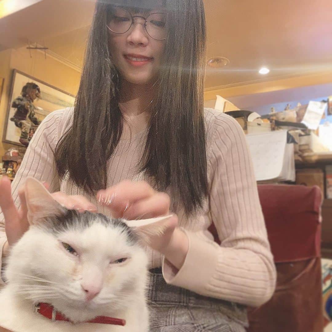 シュアン（施鈺萱）さんのインスタグラム写真 - (シュアン（施鈺萱）Instagram)「・ 喵喵喵喵喵喵🐱 今天2月22日是日本的 #貓之日 222有喵喵喵的諧音。 喵🐱💜 ・ 今日は #猫の日 にゃにゃにゃ大好き🥰🐱」2月22日 22時36分 - ts_hsuan