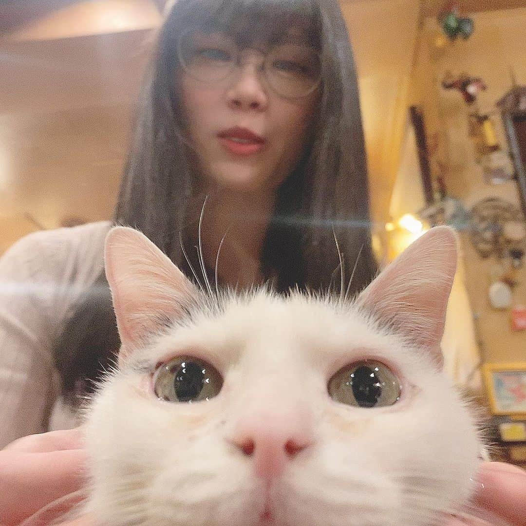 シュアン（施鈺萱）さんのインスタグラム写真 - (シュアン（施鈺萱）Instagram)「・ 喵喵喵喵喵喵🐱 今天2月22日是日本的 #貓之日 222有喵喵喵的諧音。 喵🐱💜 ・ 今日は #猫の日 にゃにゃにゃ大好き🥰🐱」2月22日 22時36分 - ts_hsuan