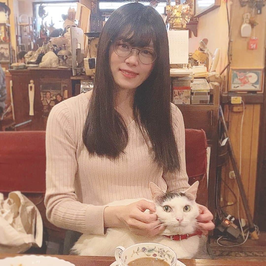 シュアン（施鈺萱）のインスタグラム：「・ 喵喵喵喵喵喵🐱 今天2月22日是日本的 #貓之日 222有喵喵喵的諧音。 喵🐱💜 ・ 今日は #猫の日 にゃにゃにゃ大好き🥰🐱」