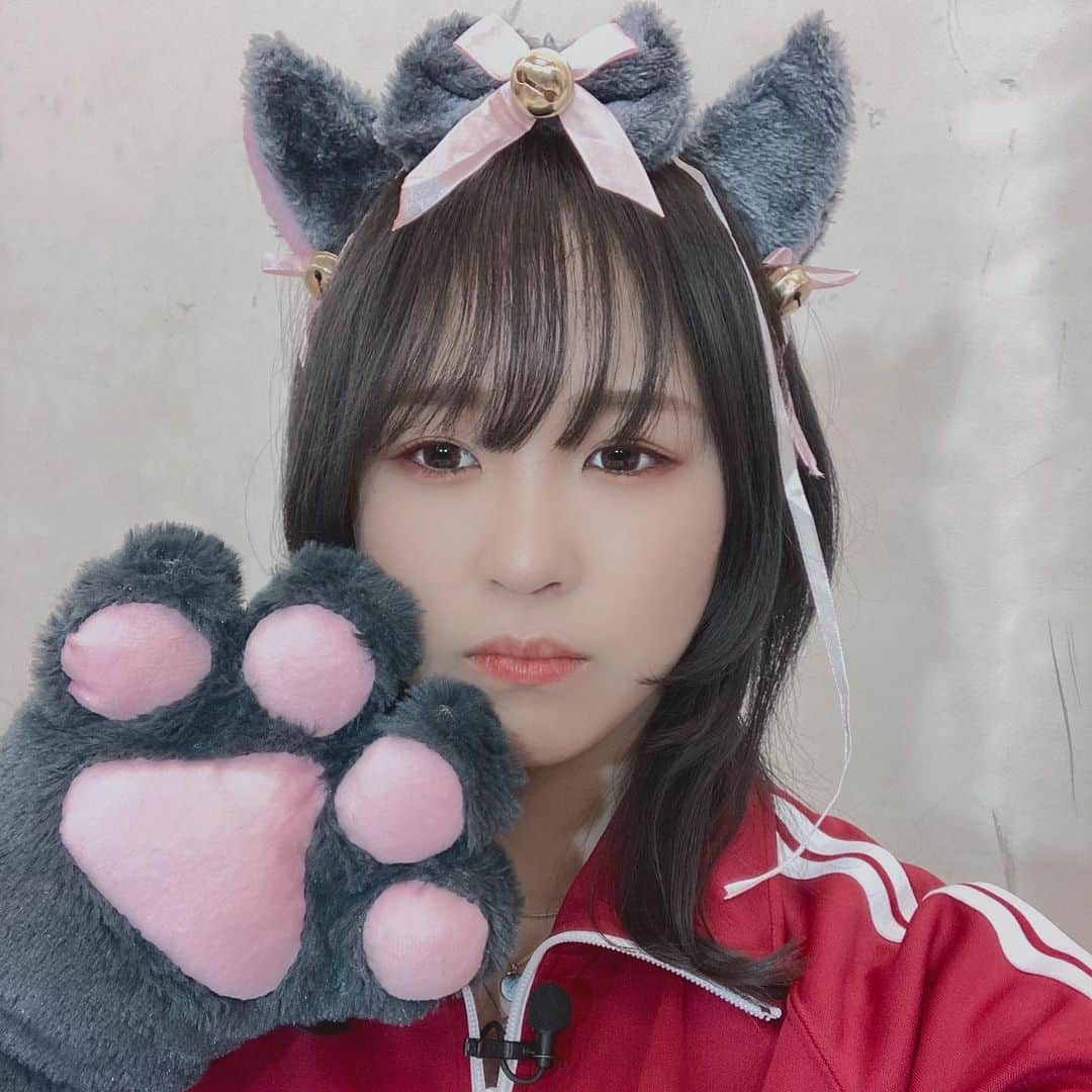 三田麻央さんのインスタグラム写真 - (三田麻央Instagram)「はいはい、にゃんにゃん」2月22日 22時36分 - kyunmao_m99