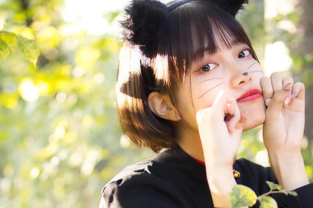 いしださきのインスタグラム：「今日猫の日なんやってさ . 📸 take-photoさん .  . . . . . . . . . .  #ポートレート #人像攝影 #被写体  #写真好きな人と繋がりたい #カメラマンさんと繋がりたい  #ポトレのセカイ #ポトレ女子 #ポートレートしま専科 #ファインダー越しの世界 #スクリーンに恋して #儚くて何処か愛おしい様な #その瞬間に物語を #真ん中にいるかのじょ #オールドレンズに恋をした #キリトリセカイ #何気ない瞬間を残したい #関西サロモ #関西被写体 #兵庫被写体 #大阪被写体 #京都被写体 #モデル #いいね返し #jp_portrait部 #good_portraits_world #good_portraits #コスプレ女子 #猫の日」