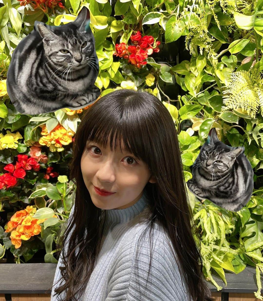 磯原杏華のインスタグラム：「#猫の日」