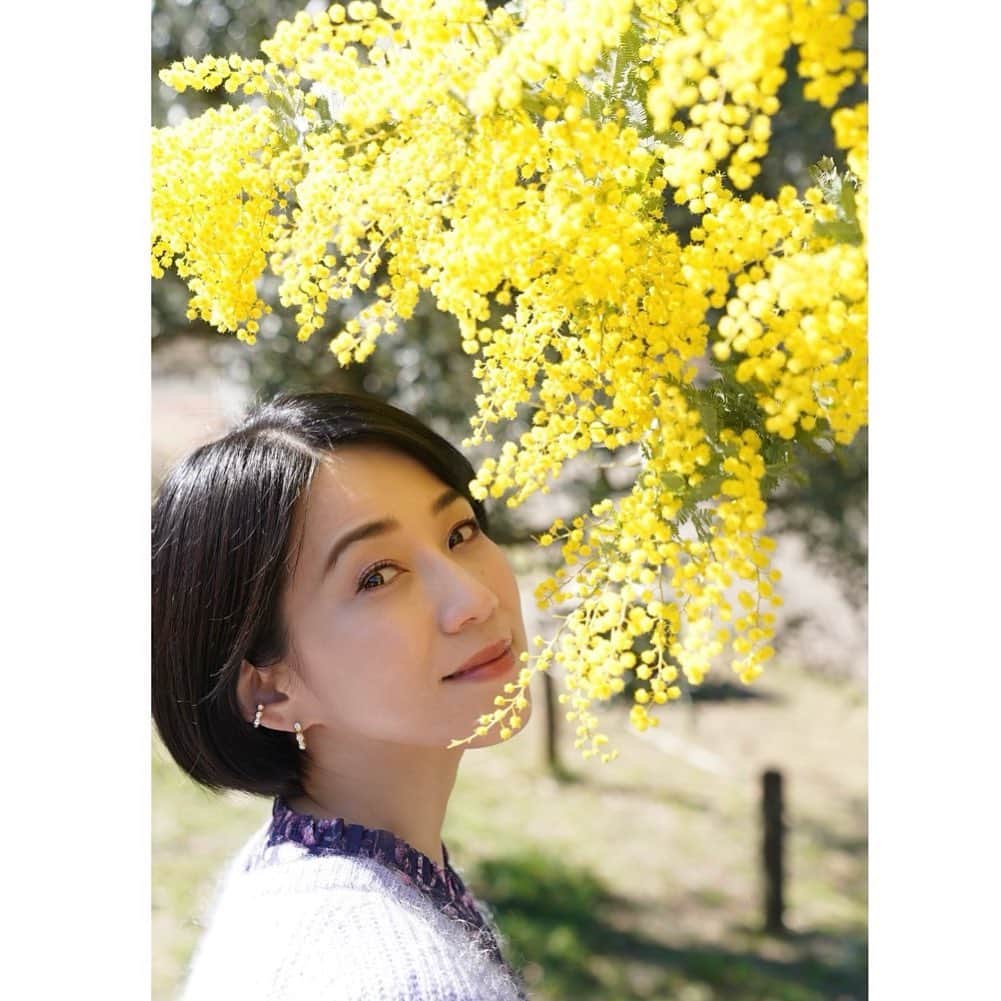 川田希さんのインスタグラム写真 - (川田希Instagram)「ミモザ🌼」2月22日 22時53分 - nozomikawata