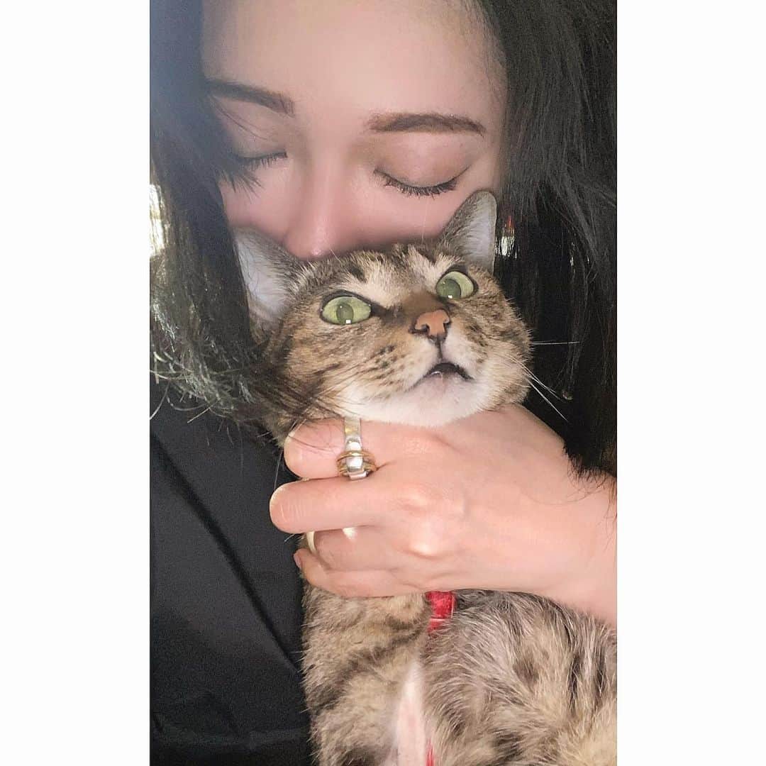 DJ mariennuのインスタグラム：「2/22🐈🐈‍⬛ #猫の日 #2月22日  #cat #にゃんにゃんにゃん」
