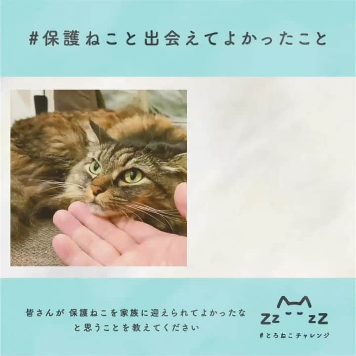 ミグノンプランのインスタグラム