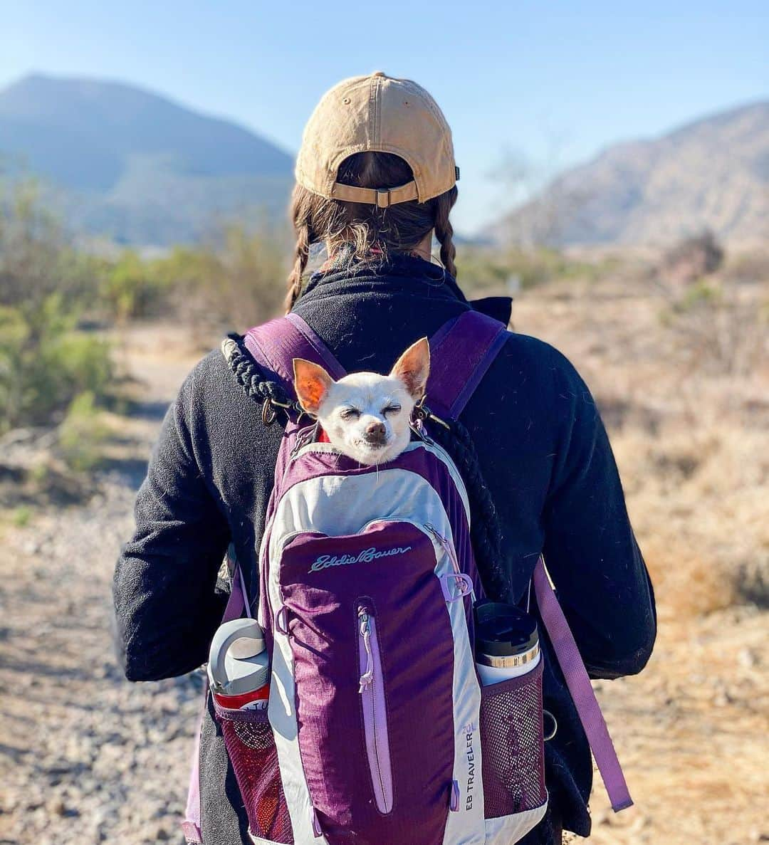 エディー・バウアーさんのインスタグラム写真 - (エディー・バウアーInstagram)「Two days late, but better late than never right? Adventure buddies come in all shapes, sizes & species! #NationalLoveYourPetDay gives us the chance to show our animal friends a bit of the unconditional love they show us every day (and we are so here for it ❤️). To all the pets out there, the journey wouldn't be the same without you!   If you're a dog hooman, remember to tag #EddieBauerCanineClub for a chance to be featured. (Pro tip: you can also go back and tag old photos.)  #LiveYourAdventure」2月22日 23時10分 - eddiebauer