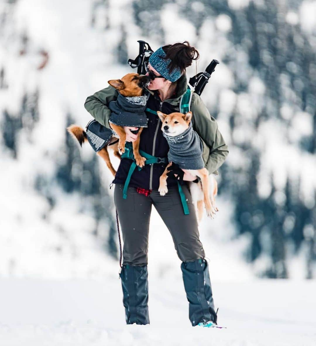 エディー・バウアーさんのインスタグラム写真 - (エディー・バウアーInstagram)「Two days late, but better late than never right? Adventure buddies come in all shapes, sizes & species! #NationalLoveYourPetDay gives us the chance to show our animal friends a bit of the unconditional love they show us every day (and we are so here for it ❤️). To all the pets out there, the journey wouldn't be the same without you!   If you're a dog hooman, remember to tag #EddieBauerCanineClub for a chance to be featured. (Pro tip: you can also go back and tag old photos.)  #LiveYourAdventure」2月22日 23時10分 - eddiebauer