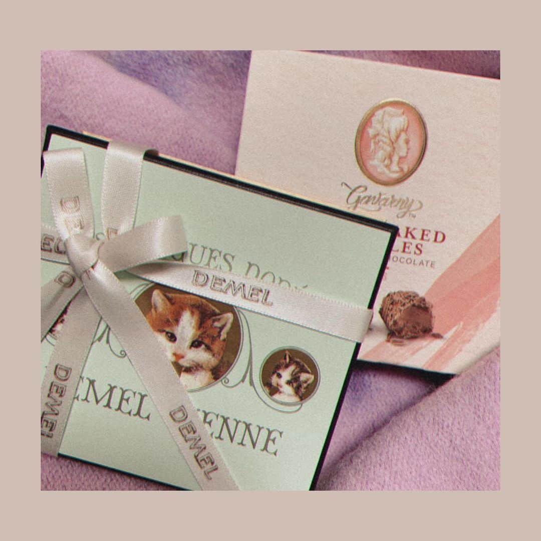 春川芽生のインスタグラム：「猫の日をバレンタインで賄おうと してませんよ？？？融合ですよ、ここに集結したんです。 #猫の日 #Valentine   🐈 ま〜、イベント横取りされちゃってね。 お詫びに横取り猫ッチシリーズ 連ねときますねぇ(こ) ☁️ #にしても #DEMEL #丁度うますぎ。」