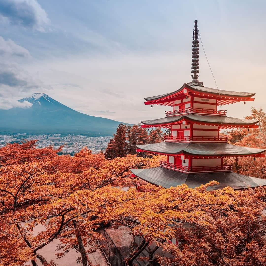 Discoveryさんのインスタグラム写真 - (DiscoveryInstagram)「Chureito Pagoda and Mt.Fuji at sunset.  Credit: TwilightShow  #Fuji #Japan #Views #sunset #nature #architecture #potd」2月23日 0時01分 - discovery
