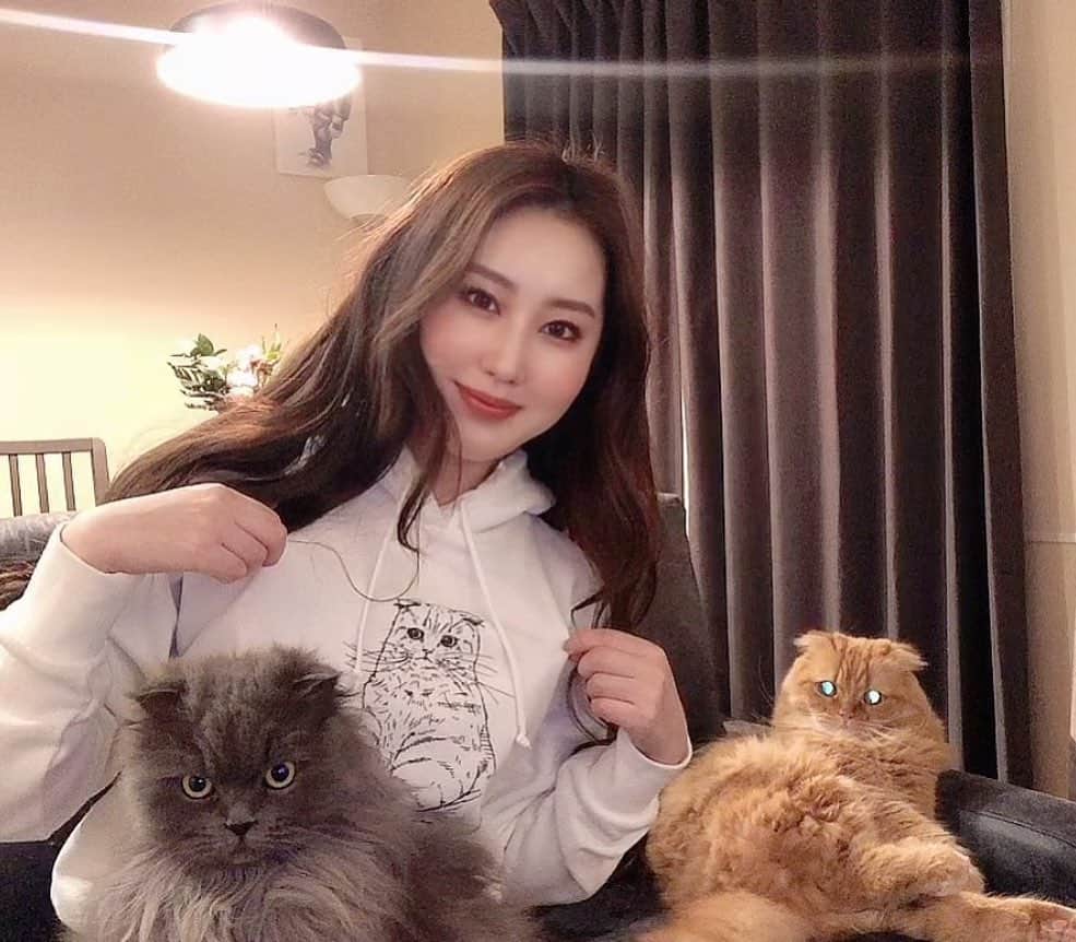 八尋莉那のインスタグラム：「2/22はにゃにゃの日🐈🐈‍⬛💞 動画のスクショで奇跡的に撮れた２匹同時カメラ目線😽 スクショだからちょっと画質粗いですね🤣 6枚目だけ一眼で撮った写真😼  まりさん @pizzamon6 が描いてくれたティティーパーカーは猫の日のワタシの正装です😼💞  インスタでいつもティティーの可愛いにゃん友たちを見ているけど、今日はいつにも増して気合が入った所謂「特に盛れてる」ねこ様のお写真が多くて眼福でした、、🥺💞 そうだ！！ Twitterでいつも見ているカシオさんのとこのカシコちゃんが可愛すぎるので良かったら見てみてください、、🥺💞カシオさん公式アカウント、猫の日はニャシオになるんです。笑 今日は22分毎にご投稿されていましたよぉ😻 それから🐾藤あや子さんのマルちゃんとオレオちゃんのご投稿も毎日たまりません、、🥺  ティティーとステラのお陰で私は幸せ🦁🦁♥️ なんでこんなに可愛いのだろう〜😭💞 性格から顔はもちろんのこと、脱皮した爪まで(笑)可愛くないところがない😽 私はティティーとステラの抜けたお髭をコレクションしているのですが、同じ方いるかなぁ🥰  #猫の日2021」