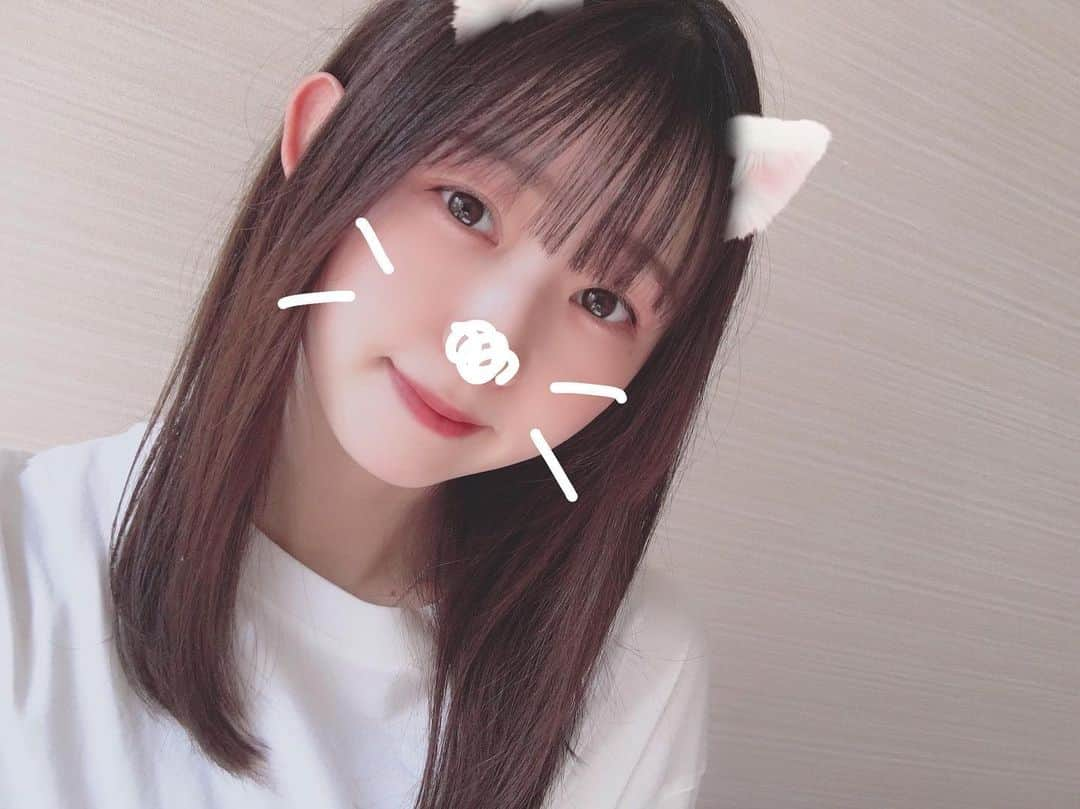 熊沢世莉奈さんのインスタグラム写真 - (熊沢世莉奈Instagram)「ギリギリアウト🐈🐈‍⬛🐾﻿ ﻿ ﻿ #にゃんにゃんの日﻿ #ねこの日」2月23日 0時14分 - kuma_0417