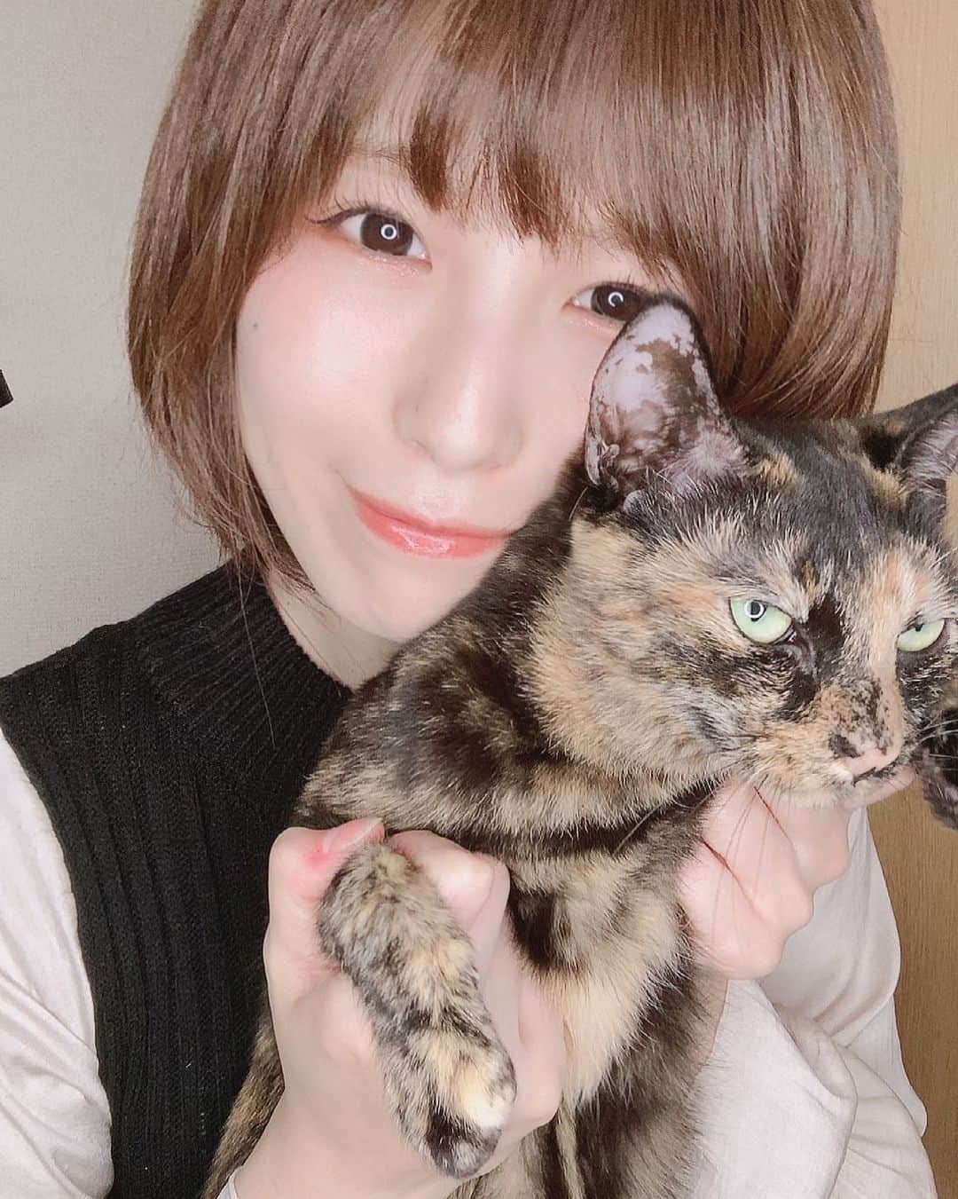 相原みぃのインスタグラム：「猫の日🐈‍⬛ ・ ・ #グラドル #ポートレート #フリーモデル #グラビア #フリーランス #ポートレートモデル #被写体 #撮影会 #写真好きな人と繋がりたい #カメラ好きな人と繋がりたい #くびれ #美脚 #撮影依頼 #仕事依頼 #ミリドル #portrait #shotting #japanesegirl #cute #kawaii #followme #お尻 #黒ストッキング #pantyhose #nylons #ストッキング #黒タイツ #stockings」