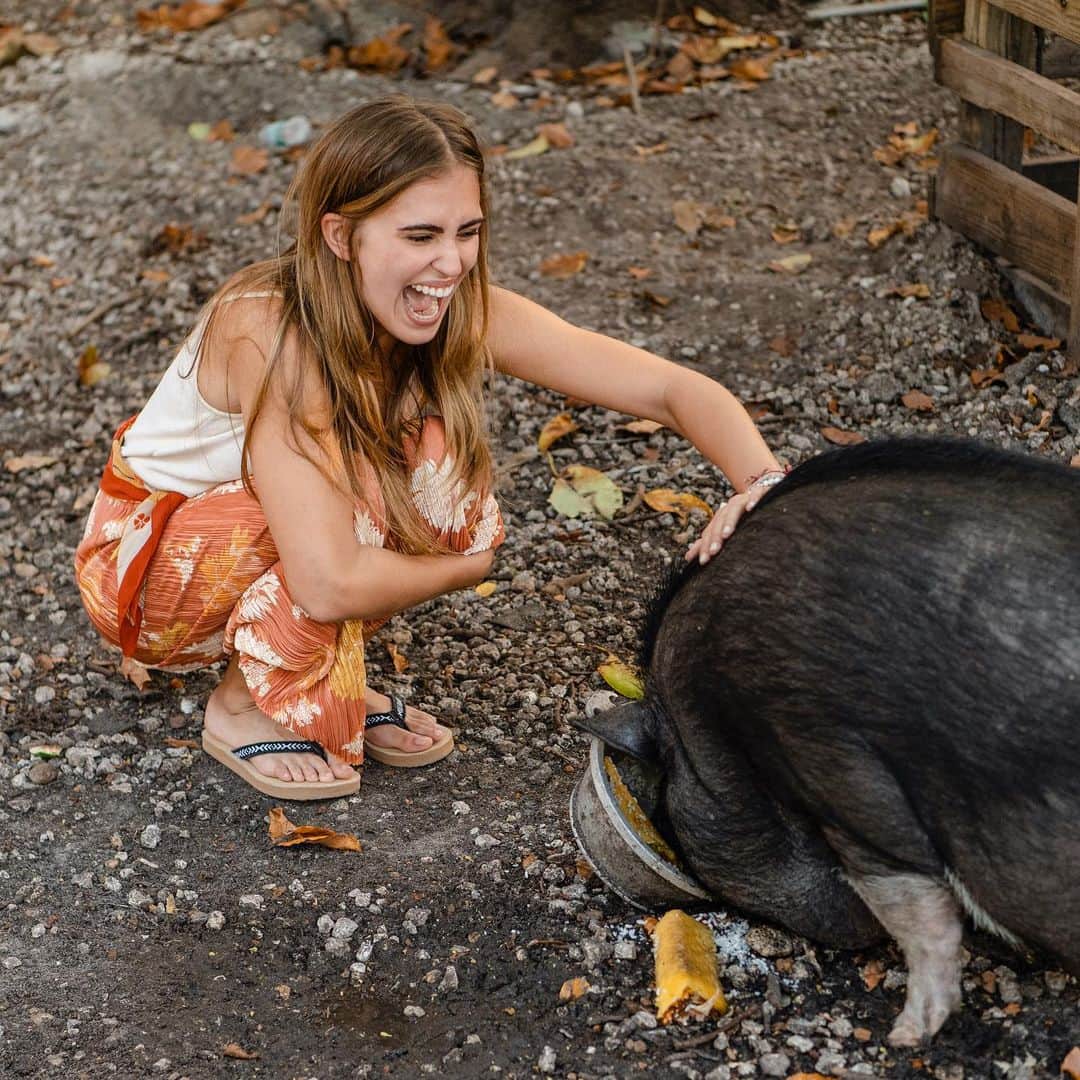サヌークのインスタグラム：「What makes us happier than a pig in mud? New styles sliding on in to the site now! Go hog wild!」