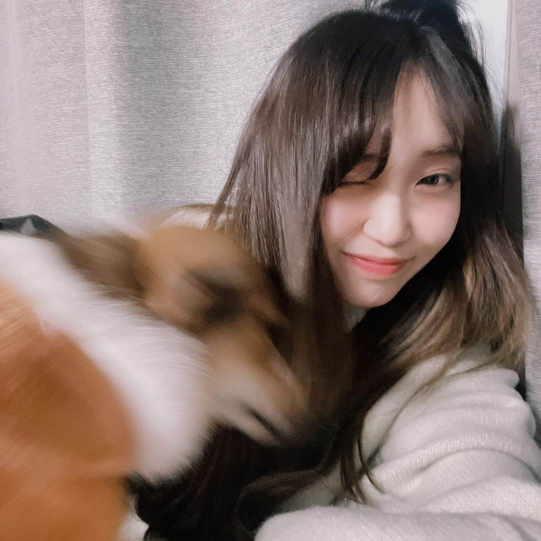 ももなさんのインスタグラム写真 - (ももなInstagram)「🐶🍒멍멍🍒🐶」2月23日 0時48分 - momoonaaa