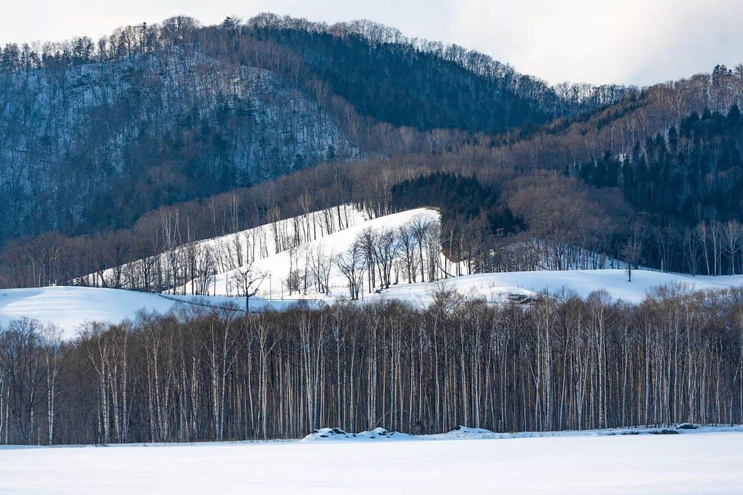 National Geographic Travelさんのインスタグラム写真 - (National Geographic TravelInstagram)「Photos by Michael Yamashita @yamashitaphoto / In Hokkaido larch and birch trees are layered against the landscape as if by design. The birch is known in Japan as "shirakaba," which translates to white wood and beauty. It blends into the snowy winter landscape, and as seasons change it contrasts with the greens of summer. With its pyramidal shape the larch, native to Japan, is a counterpoint to the statuesque birch. In any season Hokkaido, Japan's most northerly island, is a landscape photographer's paradise. #landscapephotography #snowscape #birchtrees #larchtrees #hokkaidowinter」2月23日 0時59分 - natgeotravel