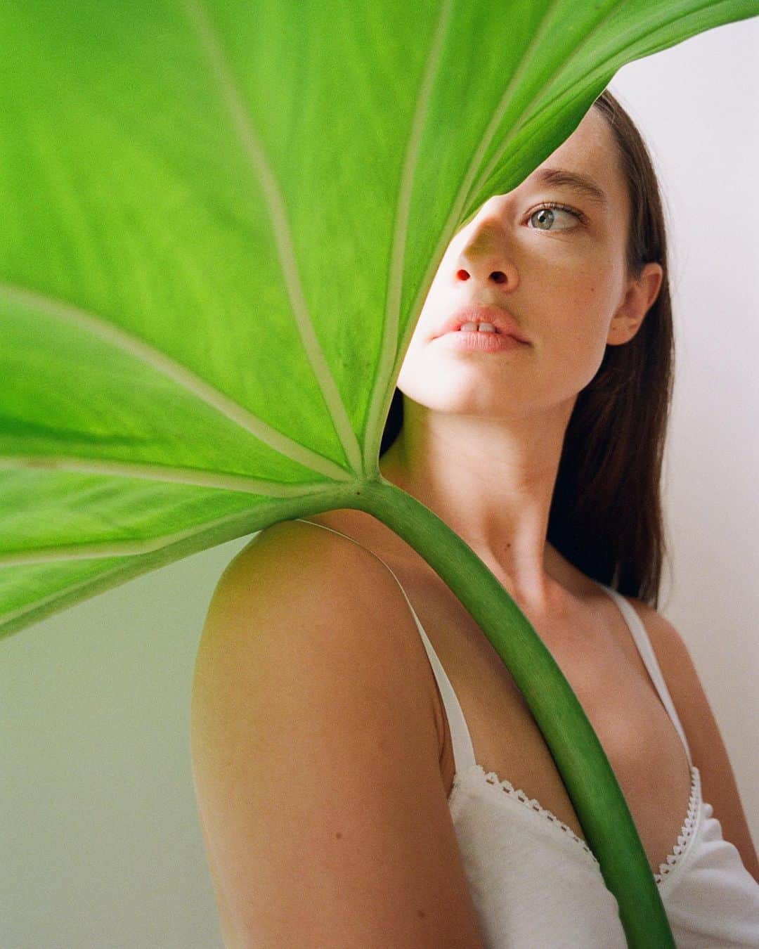 Araksのインスタグラム：「The antonia bra in white ⁠ #OrganicCotton」