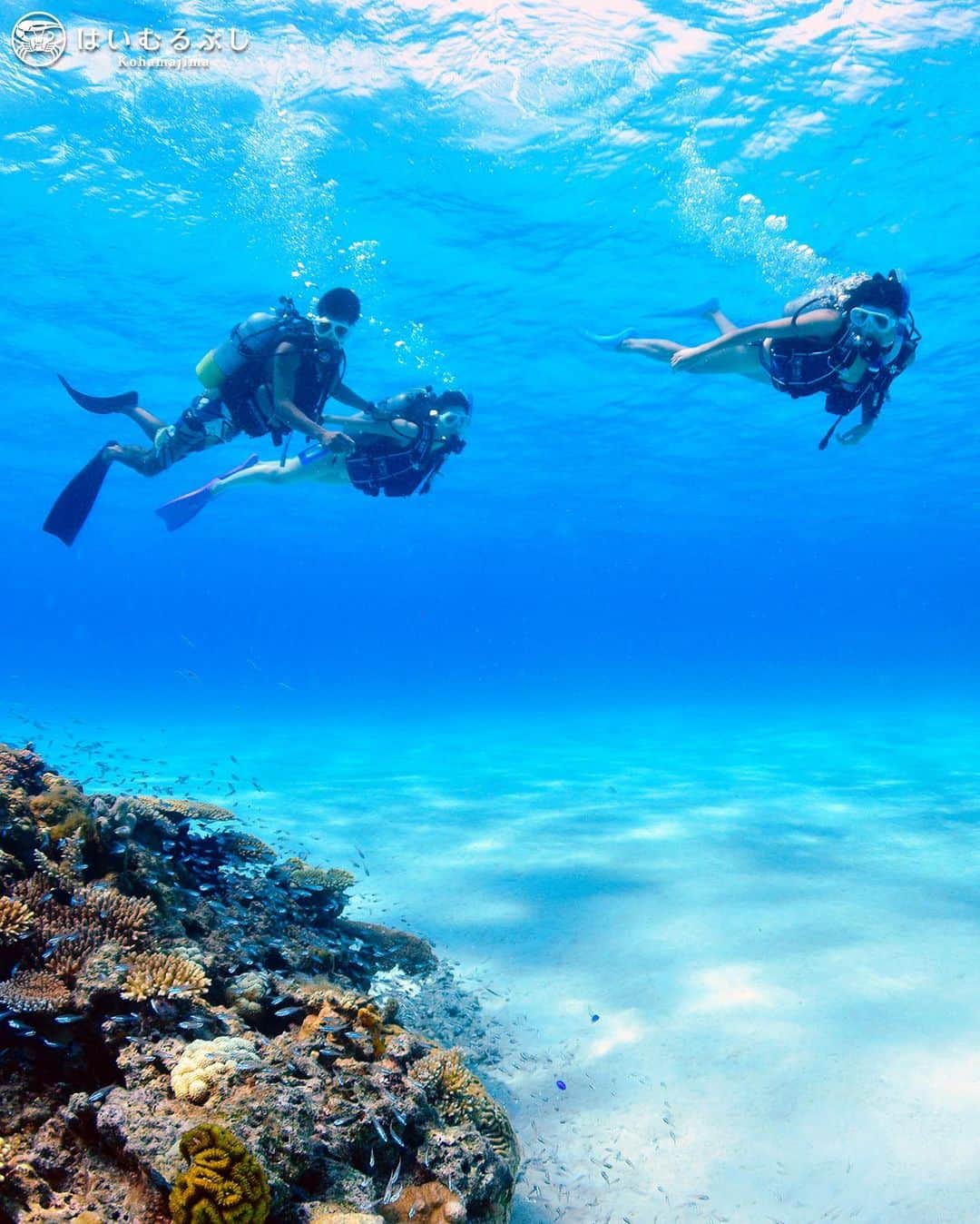 HAIMURUBUSHI はいむるぶしのインスタグラム：「小浜島・はいむるぶしから癒しの風景をお届けします。 真っ白な砂地にパッチリーフが点在する美しい海景… 世界有数の透明度と国内最大のサンゴ礁が広がる石西礁湖(せきせいしょうこ)で、心安らぐ休日をお楽しみください。 #沖縄 #八重山諸島 #サンゴ #海 #ダイビング #小浜島 #リゾート #ホテル #はいむるぶし」
