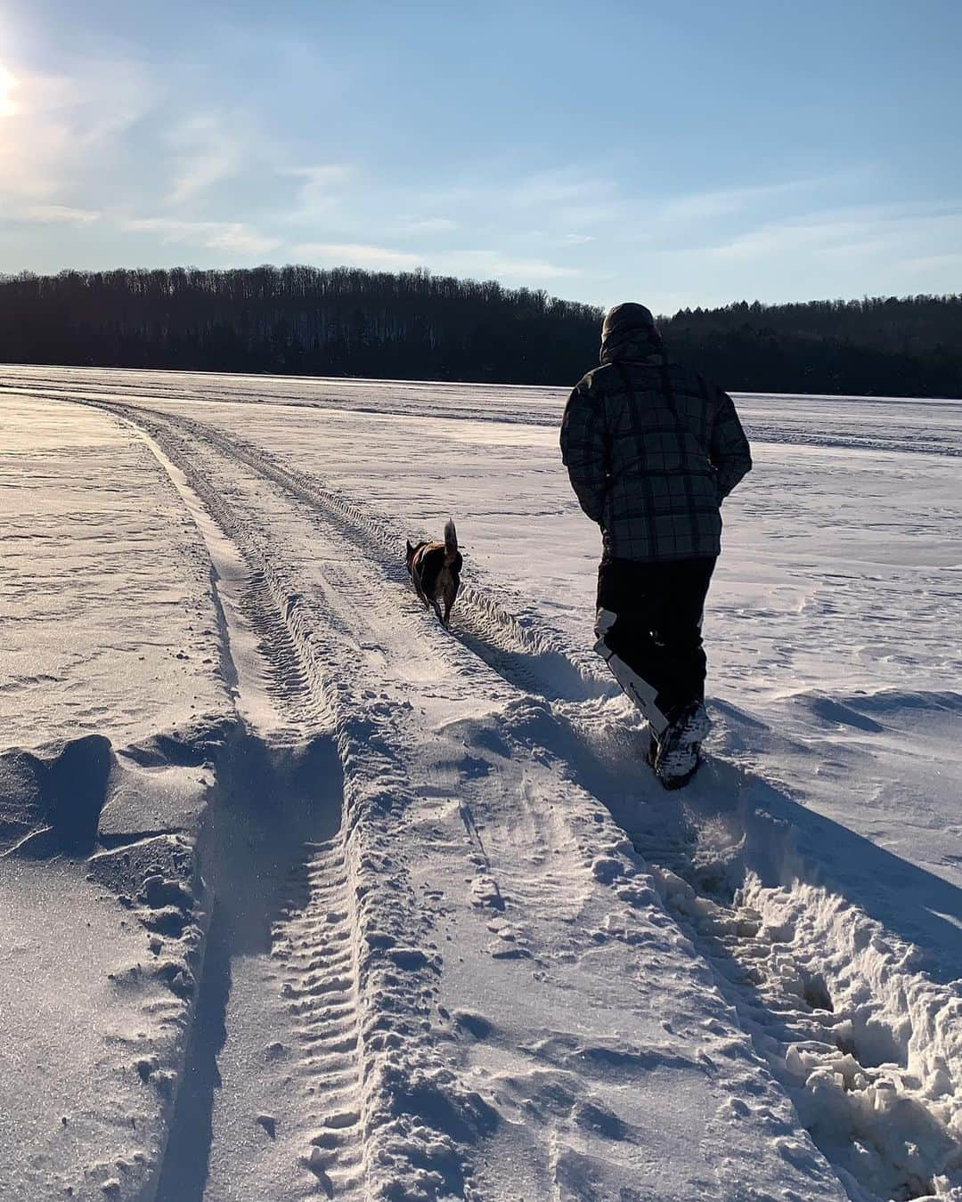 エルビス・ストイコさんのインスタグラム写真 - (エルビス・ストイコInstagram)「Snow day ❄️❄️ @the_hairyheeler_trio and @gladys_orozco  #alwayshavingagoodtime #familytime #frozenlake #snowdogg #thestojkoway」2月23日 1時44分 - elvistojko