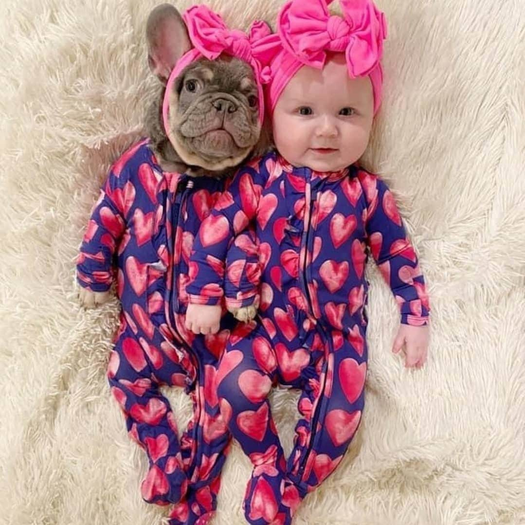 French Bulldogさんのインスタグラム写真 - (French BulldogInstagram)「Are we cute or what! 🥰🥰🥰 @mr_mcfatty_meatball . . . . . #bullyinstafeature #bulldogfrances #ブヒ#frenchiepup #bullygram #bullybreeds #愛犬 #bully #bullyworld #instafrenchie #불독 #bulldogfrancese #フレンチブルドッグ #bouledogue #french_bulldogs #bullynation #フレブル #bullylife #bulldogsofig #loveabully #adorabull #bulldoglovers」2月23日 2時01分 - frenchie.world