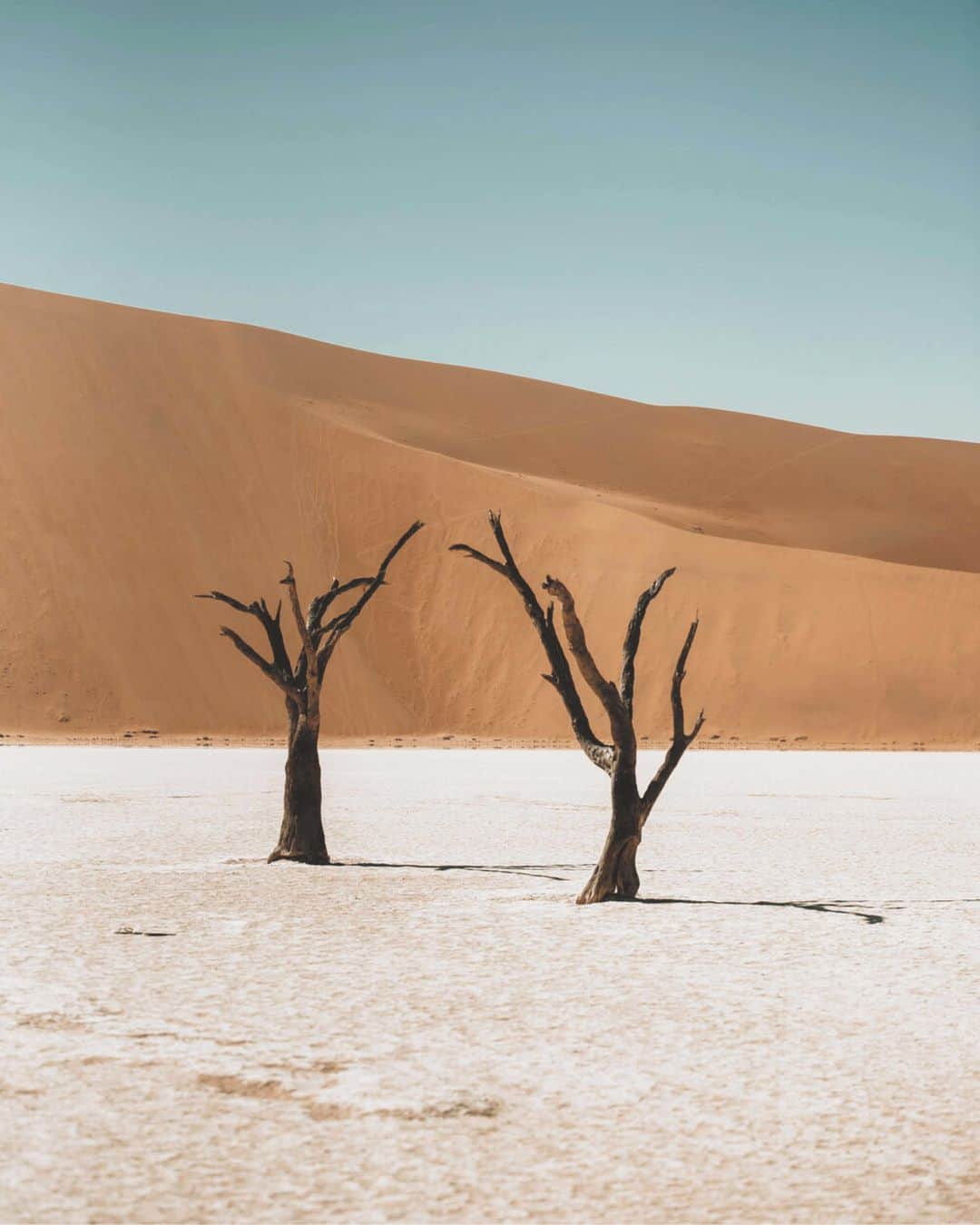 ボリオリさんのインスタグラム写真 - (ボリオリInstagram)「Deadvlei, Namibia⁣ ⁣ #Boglioli #PleinSoleil #SS21 #Desert #namibia」2月23日 2時01分 - boglioliofficial