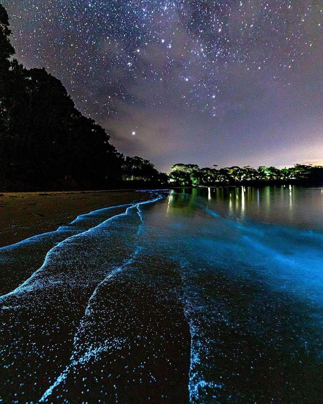 bestvacationsさんのインスタグラム写真 - (bestvacationsInstagram)「Bioluminescent plankton at Jervis Bay, Australia 🇦🇺 Have you seen this phenomenon before? 🌌 By @jordan_robins #BestVacations」2月23日 2時44分 - bestvacations