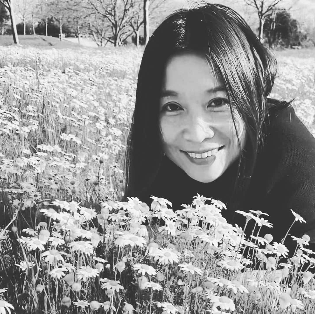 艾未未のインスタグラム