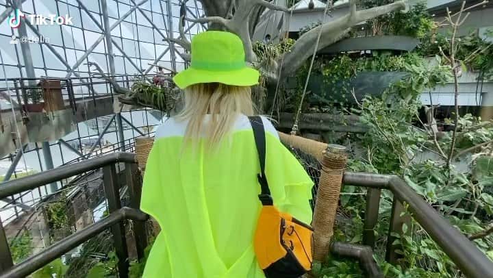 Delia Matacheのインスタグラム：「#urbanjungle 🧑‍🎤」
