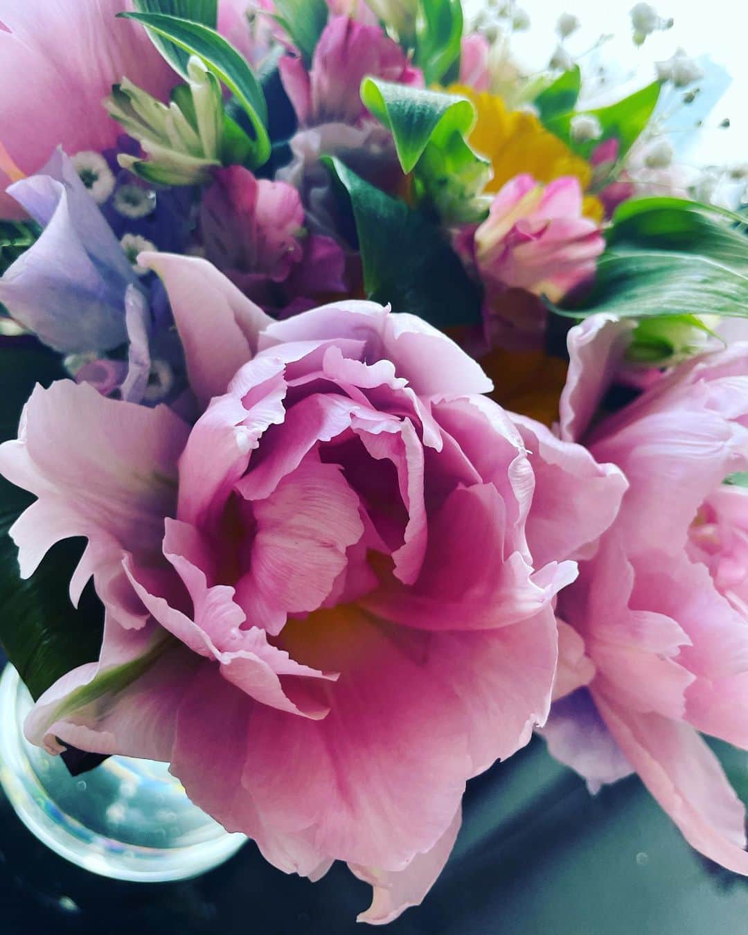 SAEKAさんのインスタグラム写真 - (SAEKAInstagram)「家中にお花が溢れてる。 お誕生日月。 そして退職。  新しいステージの自分へ 心も空間も愛に溢れますように  @emma.s.u 大親友ありがと❤︎  #お花 #花好き #インタリア #愛 #love」2月23日 13時57分 - saeka0220