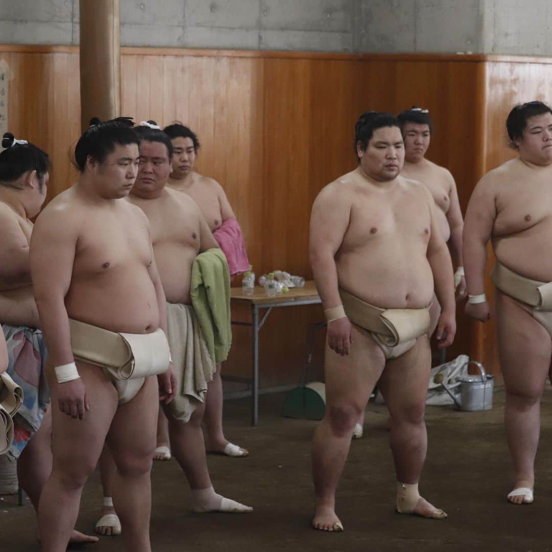 日本相撲協会さんのインスタグラム写真 - (日本相撲協会Instagram)「本日、相撲教習所で合同稽古の四日目が行われました。  @sumokyokai #大相撲 #sumo #相撲 #力士 #お相撲さん #japanphoto #sumowrestlers #japanculture #cooljapan #夢道鵬 #阿武咲 #霧馬山 #錦木 #鶴竜　#魁清城　#魁　#若隆景」2月23日 14時07分 - sumokyokai