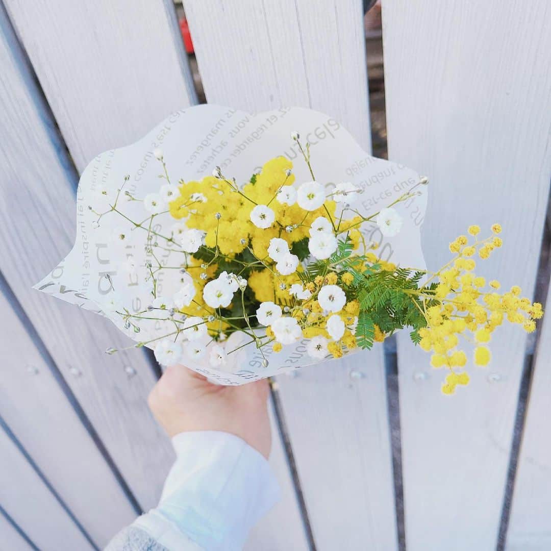 森下千里のインスタグラム：「先週のミモザ。 まだ、 おうちで咲いてくれてる。  長生きのありがたい🌼  ちなみに、390円くらいだったかな。  . . #ミモザ #花 #花のある暮らし」