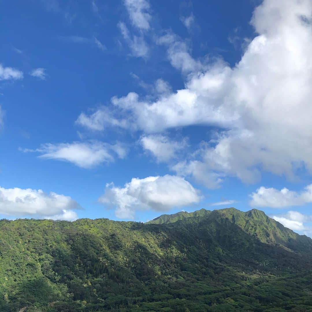 Honolulu Myohoji Missionのインスタグラム：「💫  Lotus Sutra learning class:  We had a monthly Lotus Sutra learning class by Rev. Yamamura today.  We learned the word “religion” is the combination of “re + legion” meaning that “re-connection” with the human and the god.   Lotus sutra share lots of love to the human, and it gives us an opportunity to learn how cherished YOU are!  ————————- 🤲🏻 Dr. Yukari’s Zoom Lounge is here for you!  - Consultations will be available to discuss your challenges and worries faced in daily life involving family, relationships, anxiety, stress, grief & loss.   - The first 2 sessions are free of charge.  Contact us at the address below for any questions or to reserve your 60-minute zoom session.  Email: info@honolulumyohoji.org  - Guided by the hope of St. Nichiren, we continue to work towards a peaceful society.  Honolulu Myohoji Mission collaborates with Psychologist Dr. Yukari Kunisue, a trained and experienced therapeutic life coach, to offer a safe online space: Dr. Yukari’s Zoom Listening Lounge  - Stories are twice a week on our blog, Facebook and Instagram.  📺  Honolulu Myohoji YouTube channel is available now!  On our YouTube channel, you can see - Rev. Yamamura’s talk, - Past events of Honolulu Myohoji, and - Some nice Hawaii weather from Honolulu Myohoji.  ————————- * * * * #ハワイ #ハワイ好きな人と繋がりたい  #ハワイだいすき #ハワイ好き #ハワイに恋して #ハワイ大好き #ハワイ生活 #ハワイ行きたい #ハワイ暮らし #オアフ島 #ホノルル妙法寺 #思い出　#honolulumyohoji #honolulumyohojimission #御朱印女子 #開運 #穴場 #パワースポット #hawaii #hawaiilife #hawaiian #luckywelivehawaii #hawaiiliving #hawaiistyle #hawaiivacation #healing #meditation #transcendence #lifecoach」