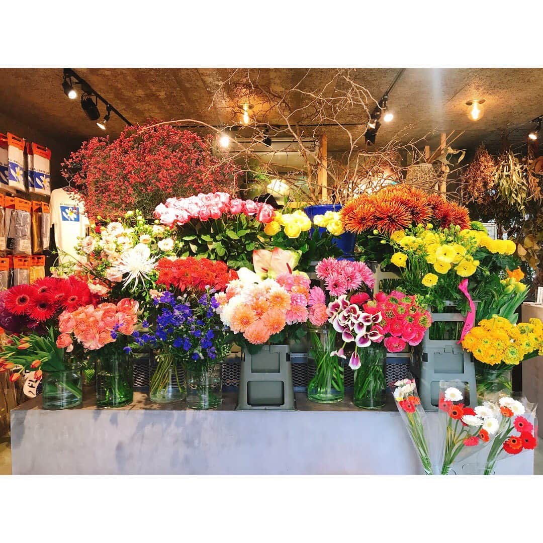 浜崎美保さんのインスタグラム写真 - (浜崎美保Instagram)「🌼🌼🌼  好きなお花屋さん🌼  #flowers」2月23日 14時51分 - mihohamasaki_japan