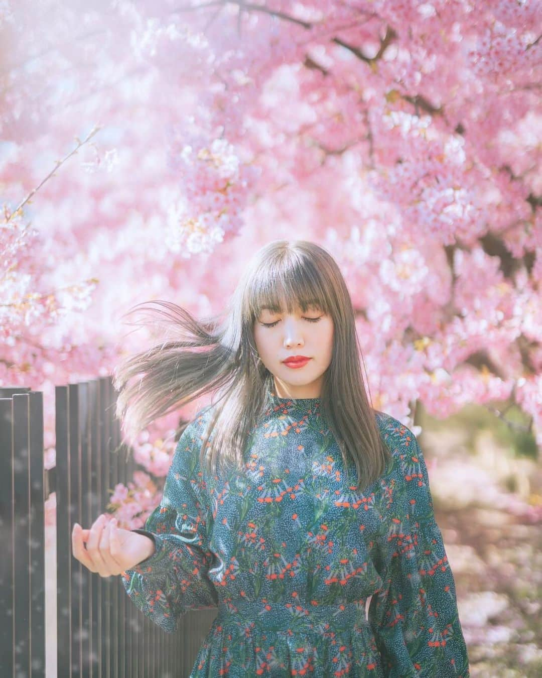 ののさんのインスタグラム写真 - (ののInstagram)「. 去年の河津桜🌸  Photographer. ももゆちゃん　@momoyu1125  #ポートレート#写真好きな人と繋がりたい#写真撮ってる人と繋がりたい#カメラ女子#ポトレ#被写体#サロモ#サロンモデル#関西モデル#撮影依頼募集中#桜#さくら#河津桜#京都#淀水路河津桜#淀水路#そうだ京都行こう#そうだ京都いこう#はなまっぷ#東京カメラ部#good_portraits_world#igersjp#tokyocameraclub#japan#spring#kyoto#cherryblossom#portrait#fineart」2月23日 6時48分 - nonoko0309