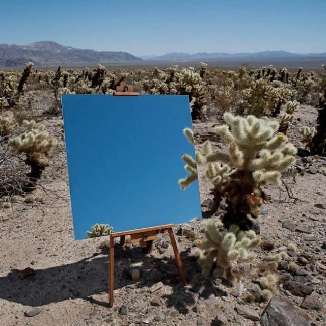 カレントエリオットのインスタグラム：「edge effect, by @danielkukla 🌵」