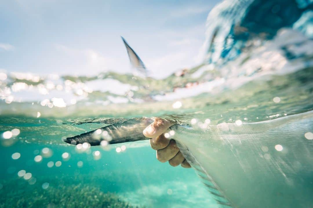 Costa Sunglassesのインスタグラム：「Roatan roundup. 📷:  @ngkelley #SeeWhatsOutThere #BornOnTheWater」