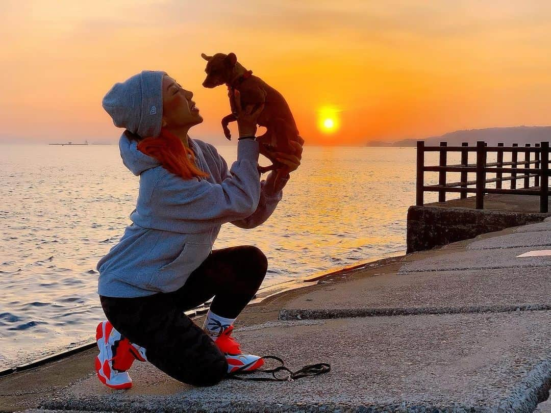 JAMOSAさんのインスタグラム写真 - (JAMOSAInstagram)「6am Sunrise Walk with this Munchkin Chilli 🐶チリちゃんと日の出お散歩🌏 #ミニピン #minipins」2月23日 7時23分 - jamosa148