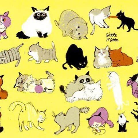 momoroさんのインスタグラム写真 - (momoroInstagram)「猫の日でした #猫#ねこ#ネコ#cat#illustration #momoro#ももろ#イラスト」2月23日 7時36分 - momoro6666
