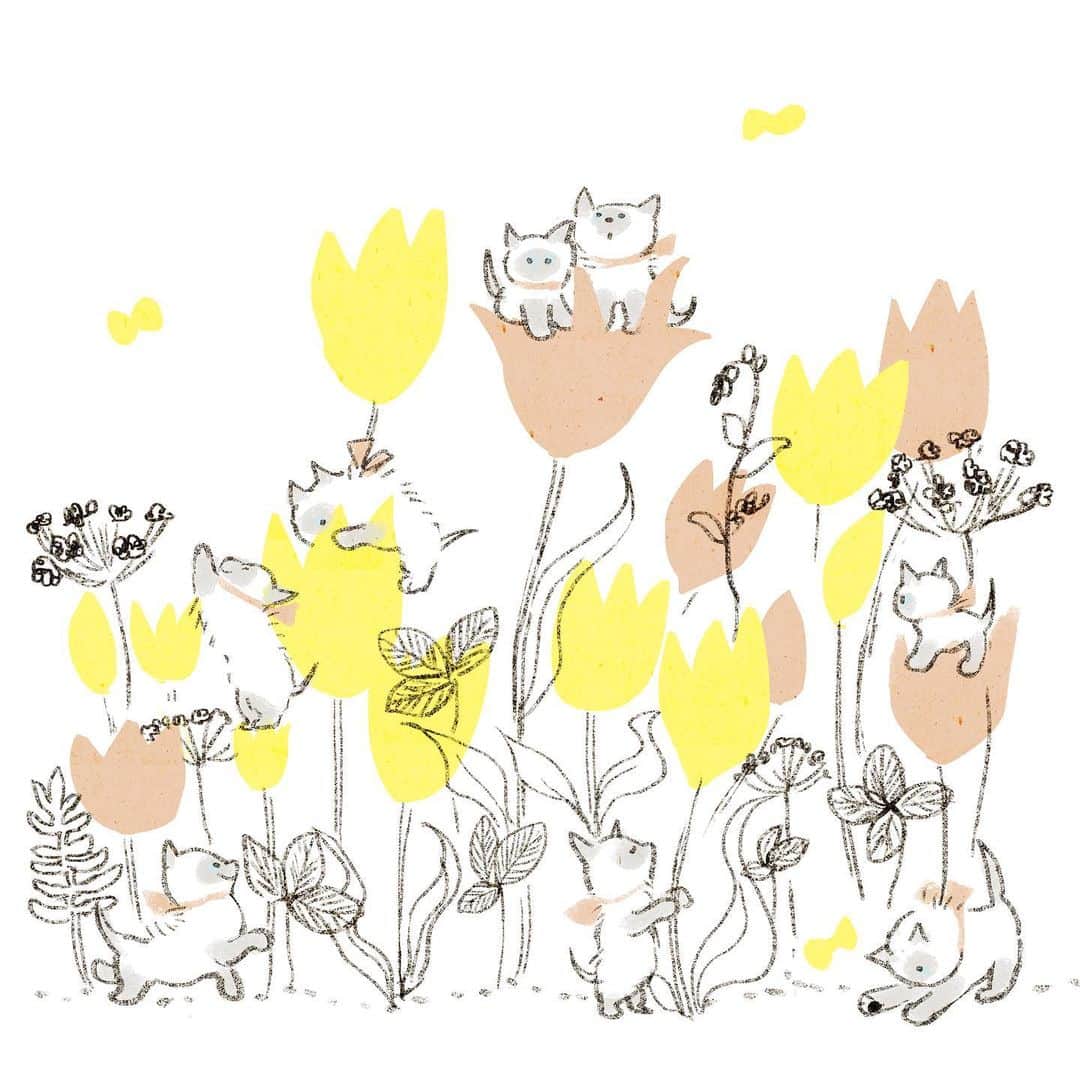 momoroのインスタグラム