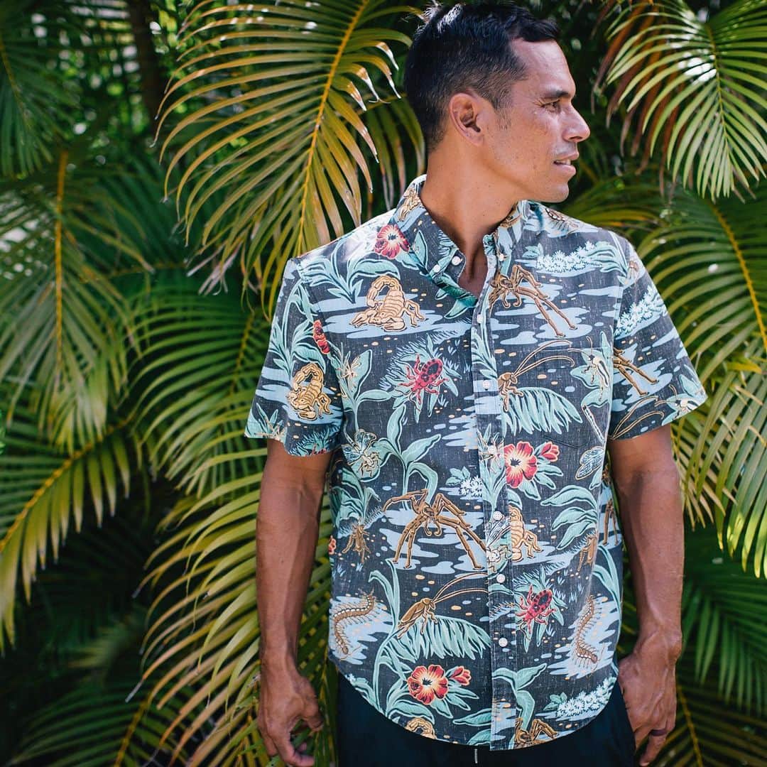 レインスプーナーのインスタグラム：「Inspired by a night spent camping on the North Shore, this print was sketched by our in-house artists and features some well-known “locals” such as the centipede, cane spider, scorpion and the “B52” cockroach. Crafted in our signature Spooner Kloth and available in all three fits.」