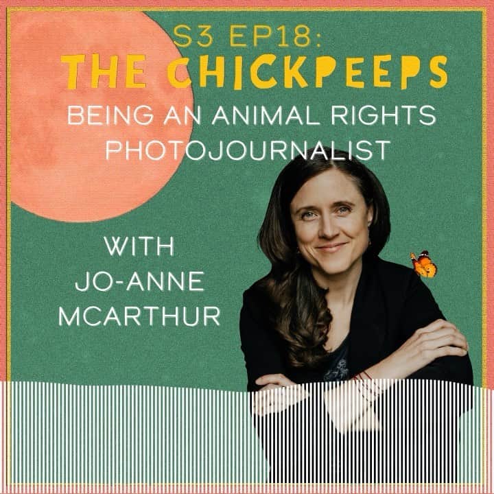 イヴァナ・リンチのインスタグラム：「We’ve been so busy having incredible conversations over on @chickpeepspod lately that I keep forgetting to post about them!! 🙀 This conversation with Jo-Anne McArthur, photographer and founder of @weanimals was particularly fascinating and uplifting to me. Jo-Anne has been documenting humanity’s relationship with animals for the past 2 decades and has been in some of the darkest, grimmest, saddest places on earth to capture moments in the lives of the animals people exploit but never see or acknowledge. I was so curious to ask her, having exposed herself to animal suffering for so many years, whether or not she still remains hopeful about human nature, and how does she stay optimistic enough to keep doing this incredibly difficult work and sharing the story of the plight of animals through her powerful images. She had so many insightful things to say, and this conversation gave me a lot of hope, and further appreciation for the impact storytelling can have on people.  Also, check out Jo-Anne’s organisation @weanimals to see more of her work, and the work of dozens of other animal rights photographers - they are breathtaking. And she and her team offer an online masterclass for anyone interested in learning how to be an animal rights photojournalist. A few ChickPeeps have been taking the course and are finding it so eye-opening.   Link to the full episode is in my bio! 🎧   #vegan #veganpodcast #ChickPeepsPodcast #WeAnimals #JoanneMcArthur #animalrights #photojournalism」