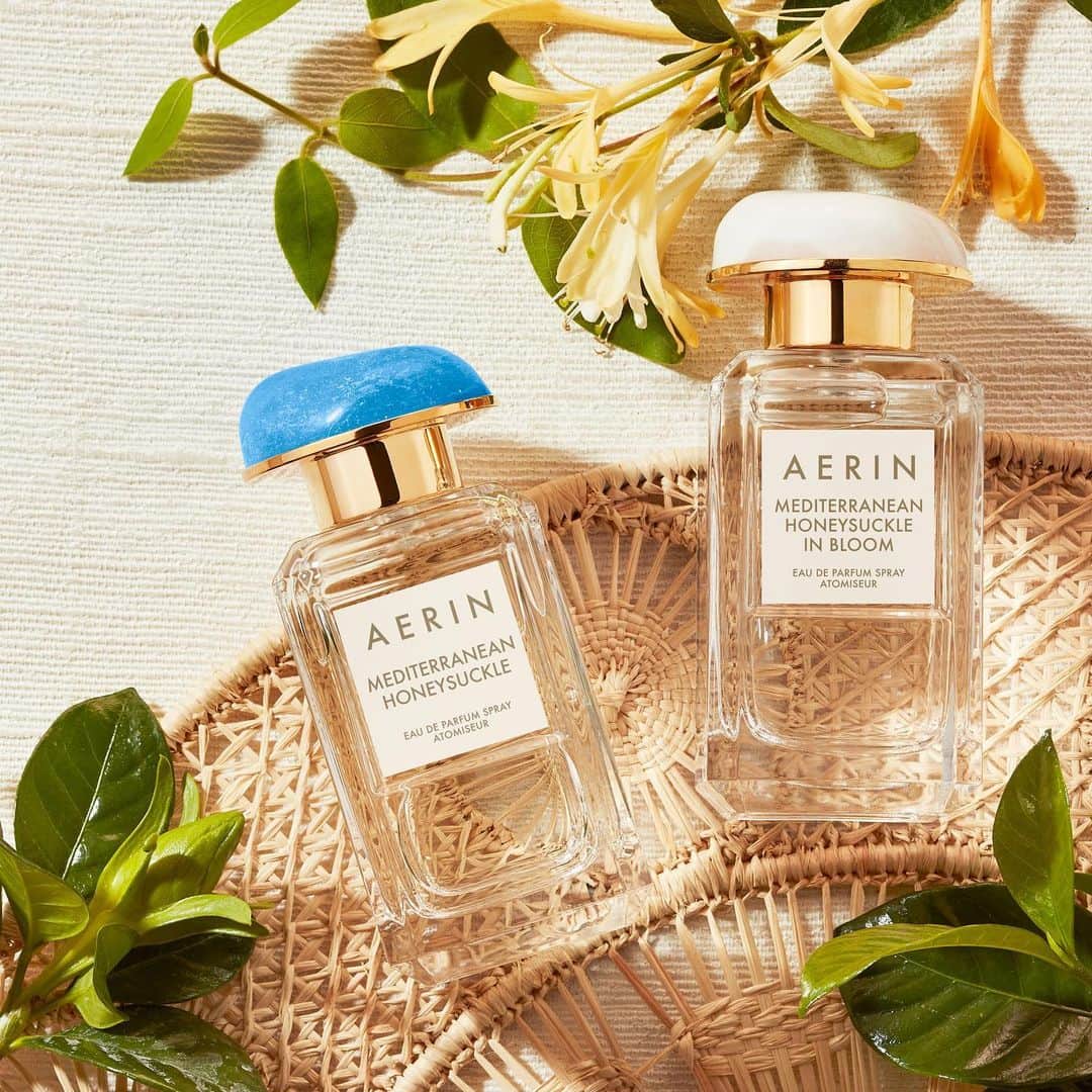 エスティローダーのインスタグラム：「Who said summer can’t last all year? ☀️ Indulge in @aerin’s Mediterranean Honeysuckle and new, limited edition Mediterranean Honeysuckle in Bloom. Feel the warmth of our refreshing floral citrus scents inspired by the vitality of the Mediterranean – sunny days only! ✨ #AERINBeauty」
