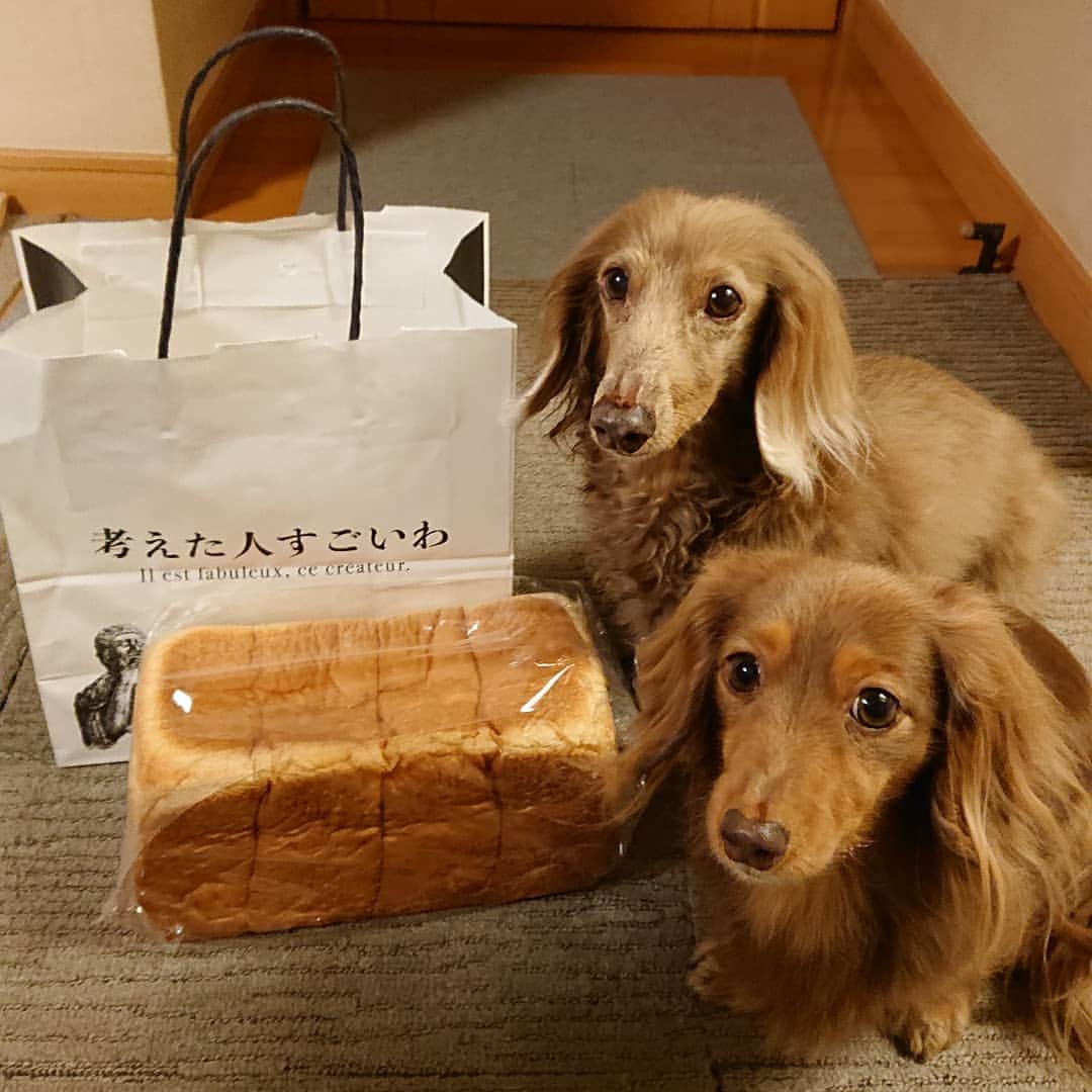 くるみんのインスタグラム